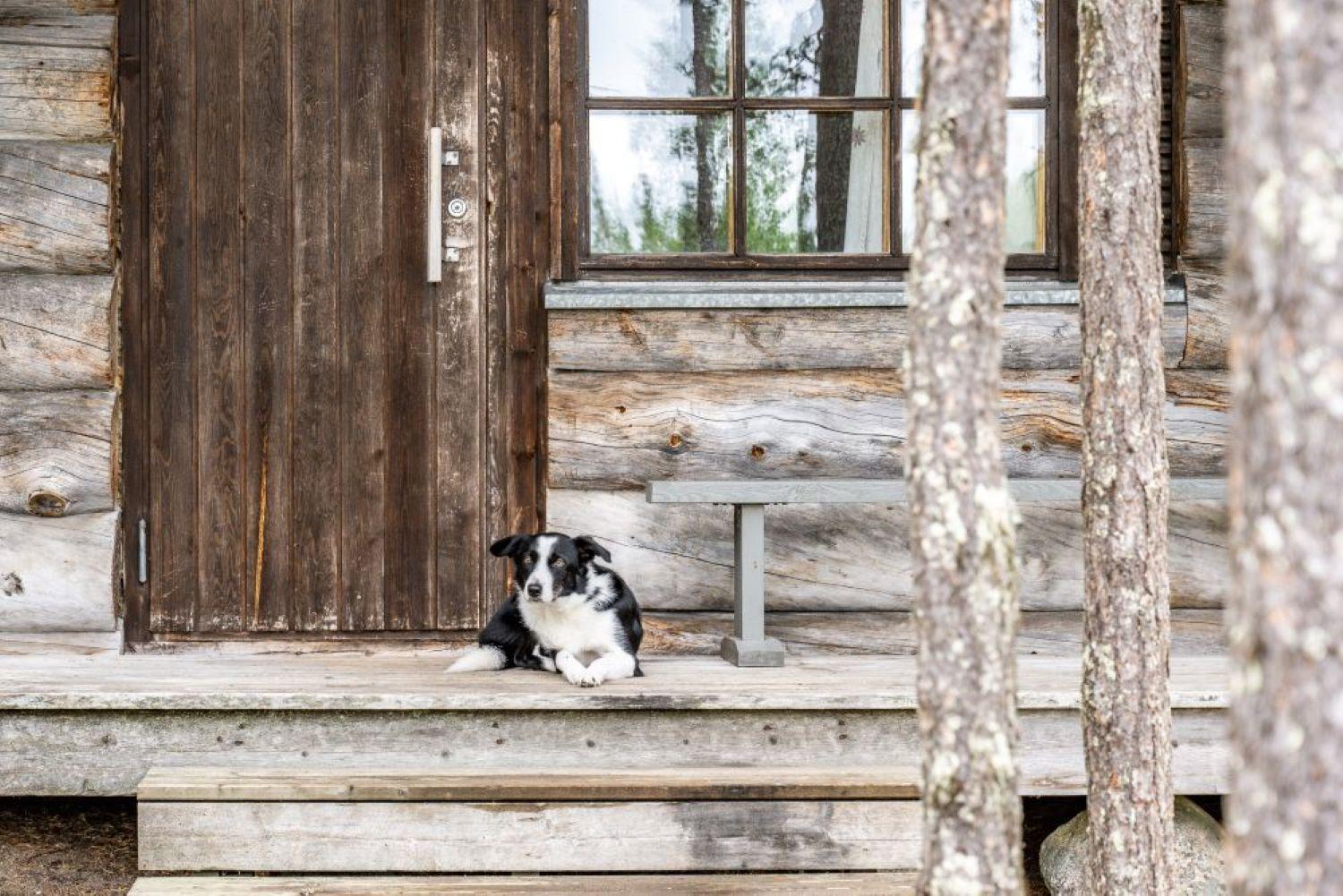Holiday Village Himmerki Posio Eksteriør billede